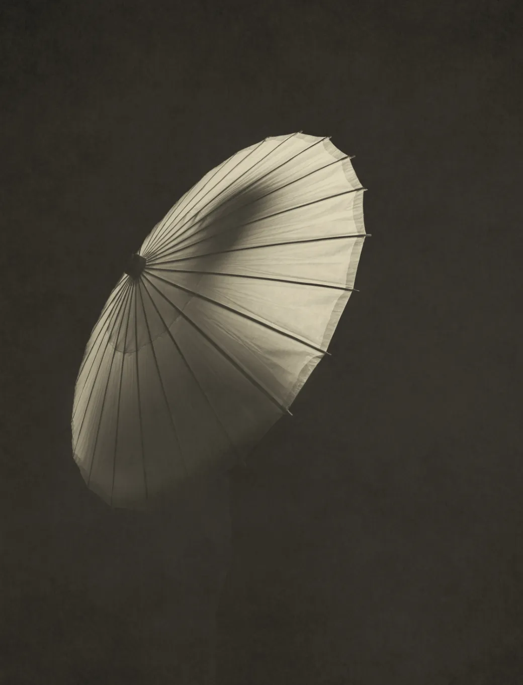 In Praise of Shadows1115 kopier