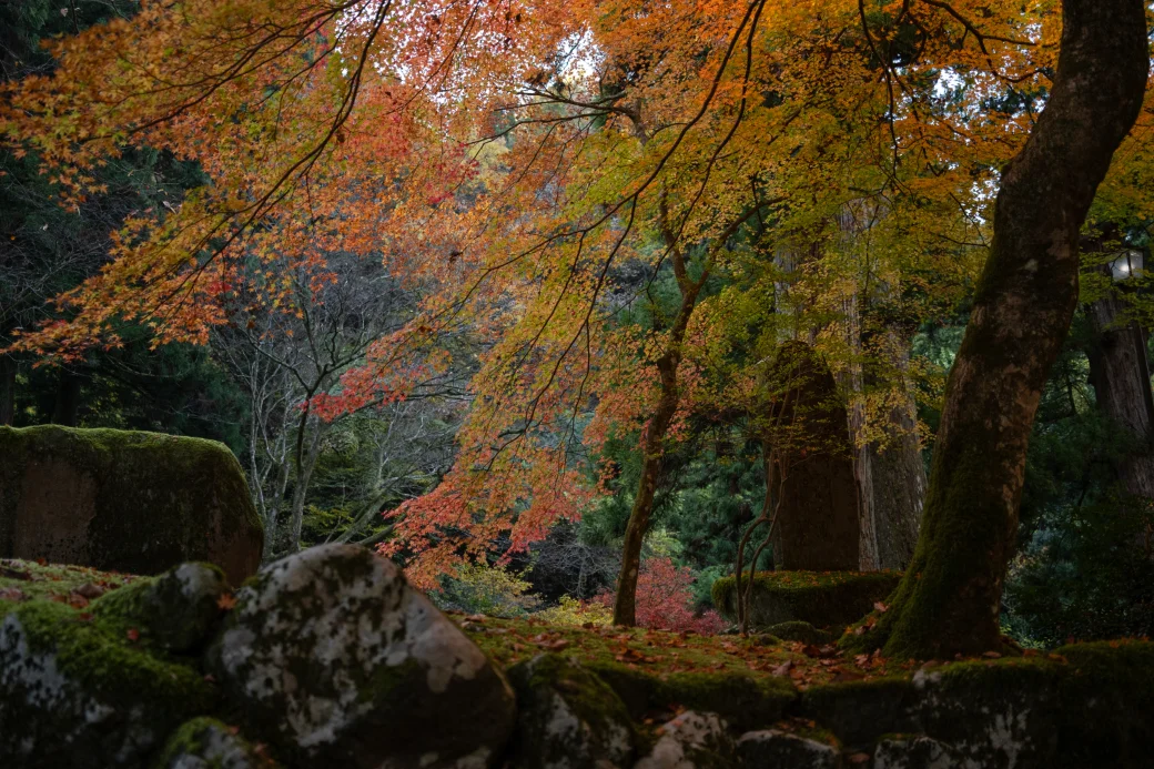 Keating-2511-A Eiheiji-3 (1) Keating 2511 A Eiheiji 3 (1)