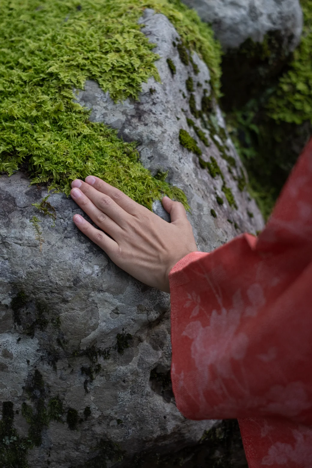 Keating-2511-B Momoe-12 Keating 2511 B Momoe