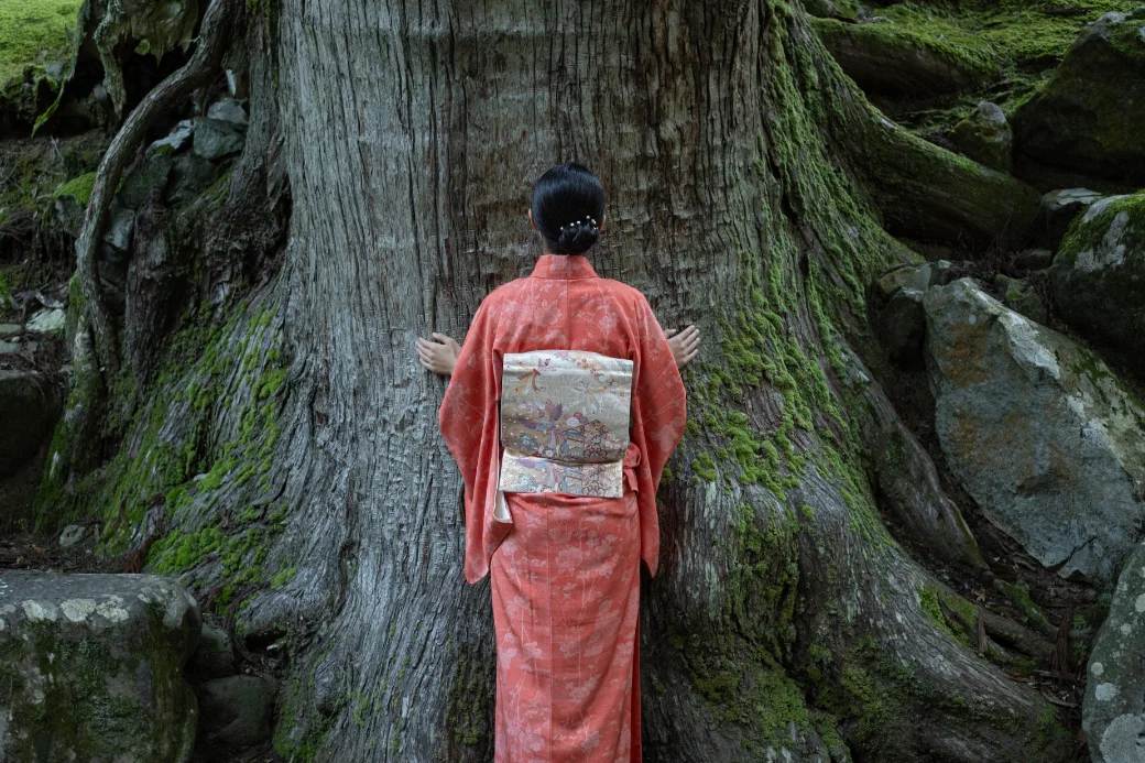 Keating-2511-B Momoe-6 Keating 2511 B Momoe